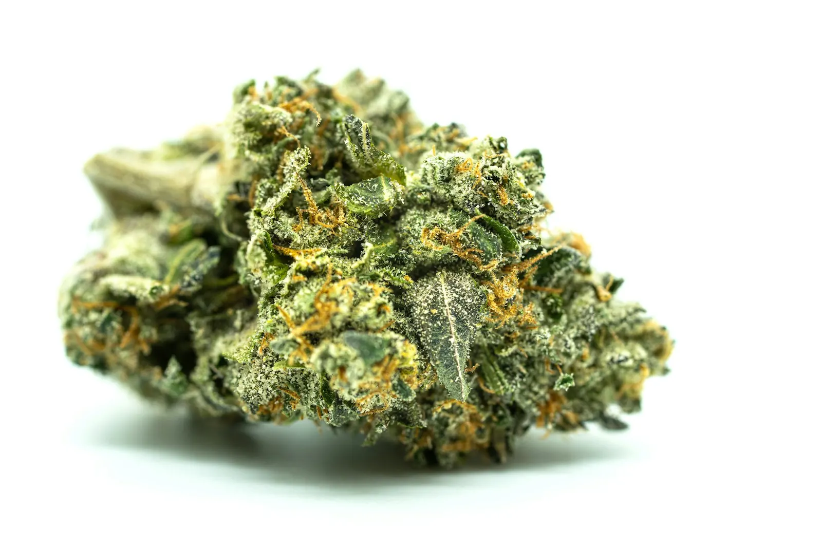 Close-up of a trimmed cannabis flower showing orange pistils and frosty trichomes